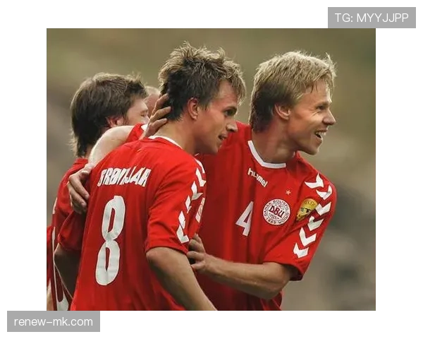 丹麦国家队红白军团 丹麦国家队红白军团